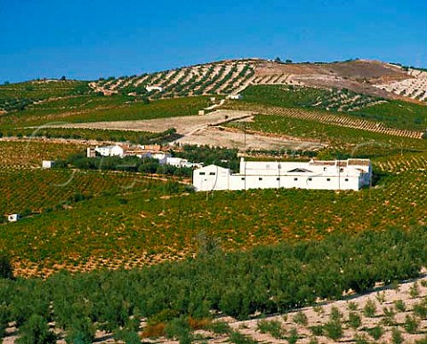 White farm buildings in vineyards near Montilla   Andaluca Spain   MontillaMoriles