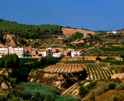 Sant Jaume Sesoliveres and vineyards Catalonia    Penedes