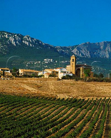 Vineyard at Paganos with the Sierra de Cantabria   beyond near Laguardia Alava Spain Rioja Alavesa