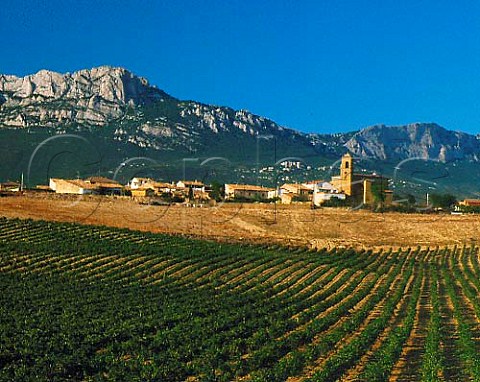 Vineyards around Paganos with the Sierra de   Cantabria beyond near Laguardia Alava Spain   Rioja Alavesa