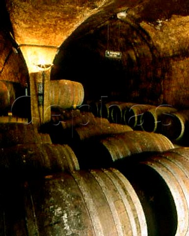 Barrel cellar of Torres at Pacs del Penedes   Catalonia Spain