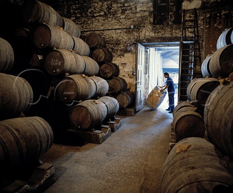 Rolling barrel into maturation room at   Bodegas Muga Haro Spain   Rioja