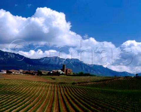 Village of Paganos viewed over vineyard with the   Sierra de Cantabria beyond Spain  Rioja Alavesa