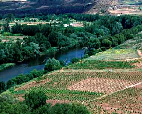 Vineyards by the River Ebro near Briones Spain    Rioja Alta