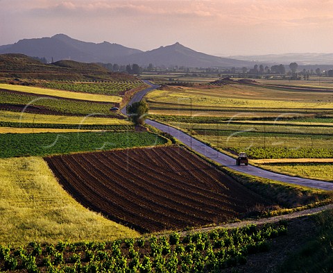 Vineyards and fields along the road between Cenicero and Najera La Rioja Spain Rioja Alta