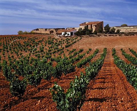 Vineyard and ruined farmhouse near Carinena Aragon   Spain DO Carinena