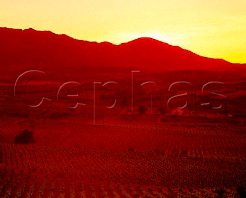 Sunset over the vineyards near Aguaron with the   Sierra de Algairen beyond Aragon Spain  DO   Carinena