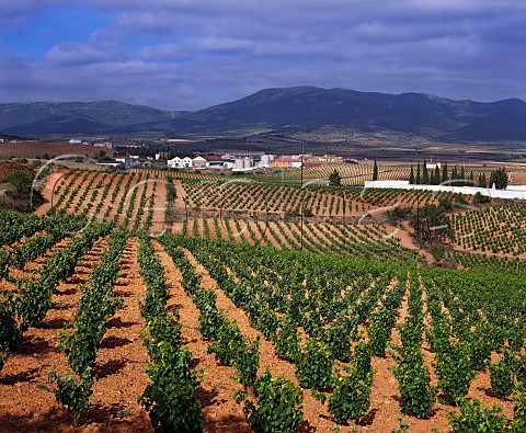 Bodegas Cooperativa San Jos and vineyards at Aguaron with the Sierra de Algairen beyond Aragon Spain  DO Carinena