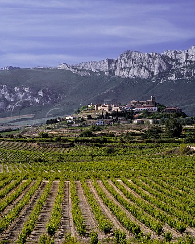 Vineyards below the hilltop town of Laguardia with   the Sierra de Cantabria beyond Alava Spain   Rioja Alavesa