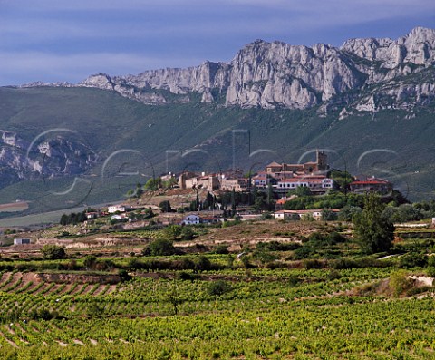 Vineyards around the hilltop town of Laguardia with the Sierra de Cantabria beyond   Alava Spain  Rioja Alavesa
