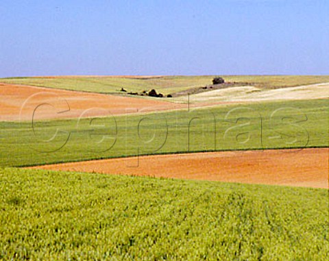 Agricultural landscape north of Salamanca Spain