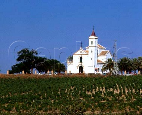 Vineyards around the Sanctuaria de las Mercedes at   Bollullos par del Condado Andalucia Spain    Condado de Huelva