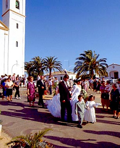 Bride and groom leave the Sanctuaria de las   Mercedes Bollullos par del Condado Andalucia Spain