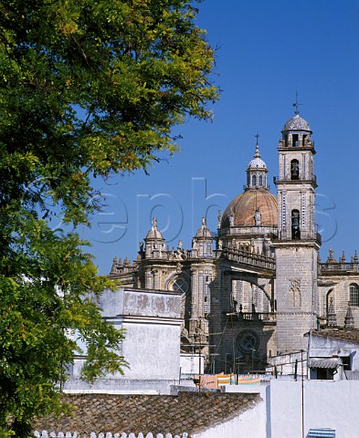 Colegiata San Salvador the cathedral of   Jerez de la Frontera Andaluca Spain