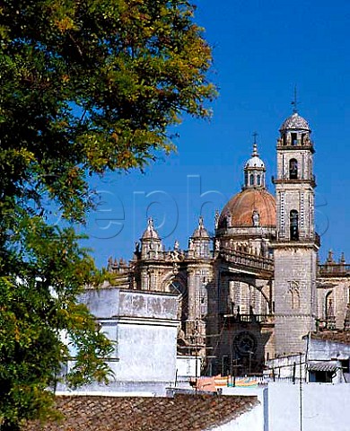 Colegiata San Salvador the cathedral of Jerez de la   Frontera Andaluca Spain   Sherry