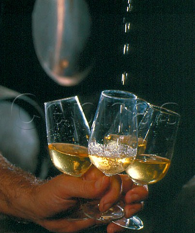 Filling glasses with fino sherry from cask using a   venencia in the bodegas of Emilio Lustau Jerez de la   Frontera Spain   Sherry