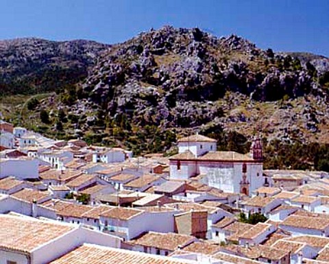The white town of Grazalema west of Ronda   Andalucia Spain