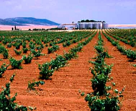 The estate of Casa de la Vina has the largest   planting of the Cencibel grape in the region 950 ha   out of 1000ha of vines and has been called the most   important estate in Valdepenas  Spain