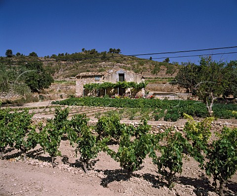 Typical house and vineyard near Gandesa Tarragona   Province Spain DO Terra Alta