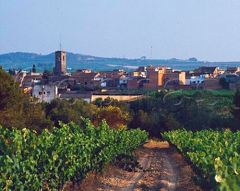 Wine village of El Pla del Peneds Catalonia    Spain  Peneds