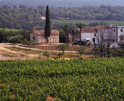The 11thcentury Kennet Chapel on Torres Agulladolc   estate Cabernet Sauvignon Merlot and Parellada   grapes are grown here at an altitude of 360m near   Mediona Catalonia Spain  Penedes