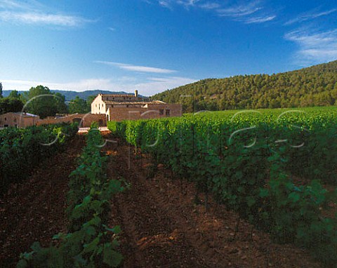 Mas Fransola on the Torres Fransola Estate 152ha of   vineyards at an altitude of 550m near Santa Maria de   Miralles Catalonia Spain  Alt Penedes
