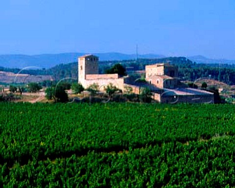 The 11thcentury Castillo de Milmanda near Vimbodi Catalonia Spain Owned by Miguel Torres the estateis at an altitude of 500m and has 85ha of vines ofwhich 10ha are given over to Milmanda Chardonnay the companys top white wine Cabernet Sauvignon and Pinot Noir are also grown here The castle was formerly part of the holdings of the nearby Monastery of Poblet  DO Conca de Barber