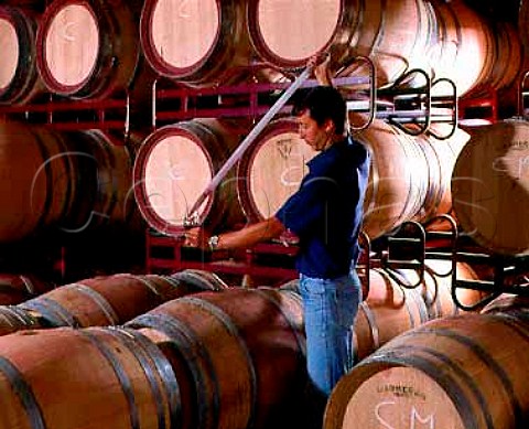 Josep Vadri winemaker takes sample from new oak   barrique in the bodegas of Concavins Montblanc Tarragona   Province Spain DO Conca de Barbera