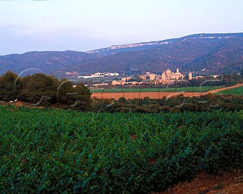 Monastery of Poblet  founded in 1151 The   vineyards part of 115ha known as Las Murallas are   owned by Miguel Torres   Vimbodi Catalonia Spain  Conca de Barber