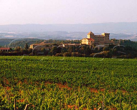 Castillo de Riudabella formerly one of the farmsbelonging to the nearby Monastery of Poblet Ownedby the Moreno de Mora family since 1820 thevineyards are leased to Codorniu and planted with Chardonnay and Pinot Noir for the companyssparkling wines Catalonia Spain Conca deBarber 