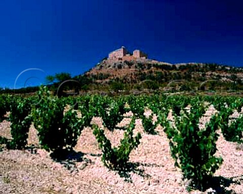 Vineyard below the Monasterio del Pueyo near   Barbastro Aragon Spain DO Somontano