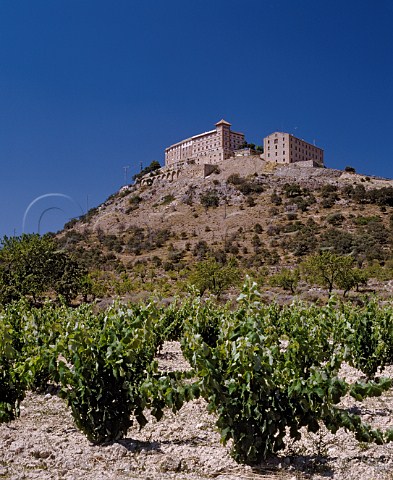 Vineyard below the Monasterio del Pueyo near   Barbastro Aragon Spain DO Somontano