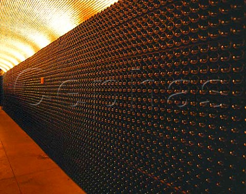 Bottle maturation cellar of Bodegas Campillo   Laguardia Spain Rioja Alavesa