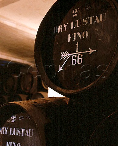 Sherry barrels in bodega of Emilio Lustau   Jerez de la Frontera Andaluca Spain