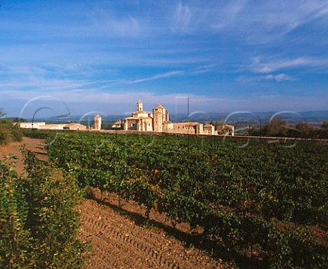 Vineyard of Miguel Torres by the Monastery of   Poblet Catalonia Spain  Conca de Barber