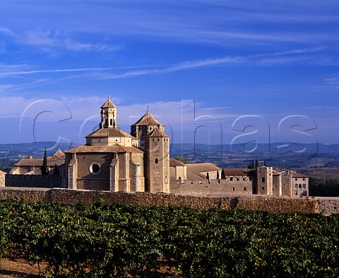 Monastery of Poblet viewed over vineyard of Miguel   Torres Catalonia Spain   Conca de Barbera DO