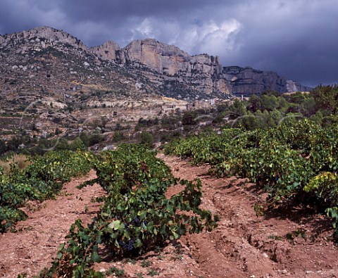 Vineyard below village of Morera de Montsant and the Sierra de Montsant Catalonia Spain      Priorato DO