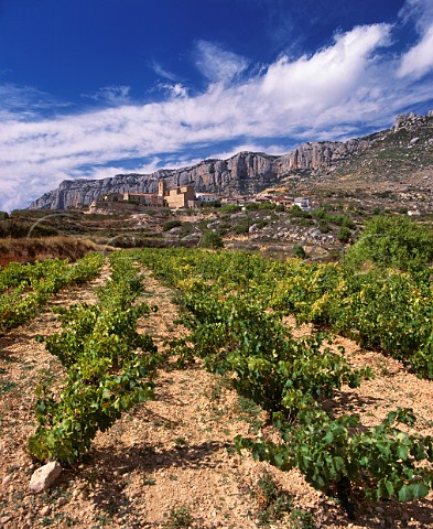 Vineyard below village of La Morera de Montsant and the Sierra de Montsant Catalonia Spain Priorato