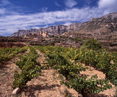 Vineyard below the village of La Morera de Montsant   and the Sierra de Montsant Catalonia Spain       Priorato DO
