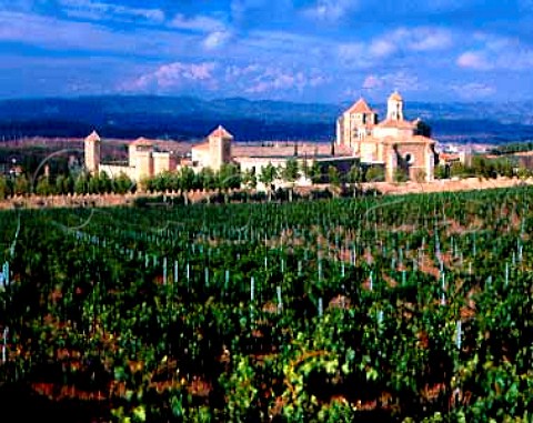 The 12th century Monastery of Poblet viewed over a   vineyard of Miguel Torres Catalonia Spain  Conca   de Barbera DO