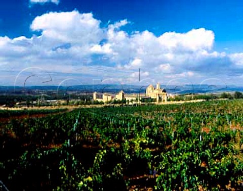 The 12th century Monastery of Poblet viewed over a   vineyard of Miguel Torres Catalonia Spain  Conca   de Barbera DO