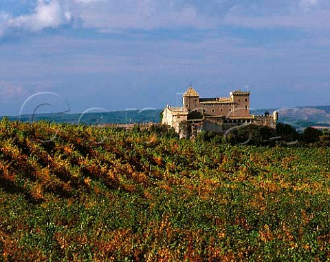 Castillo de Riudabella amidst its vineyards which   planted mainly with Chardonnay and   Pinot Noir are leased to Codorniu  Near Poblet   Catalonia Spain       Conca de Barber