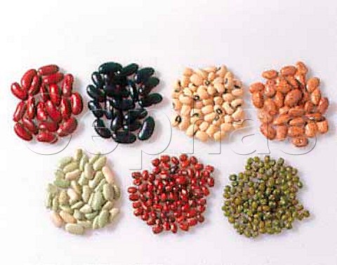 Beans  clockwise from top left red kidney beans   black kidney beans black eyed beans pinto beans   mung beans aduki beans flageolets