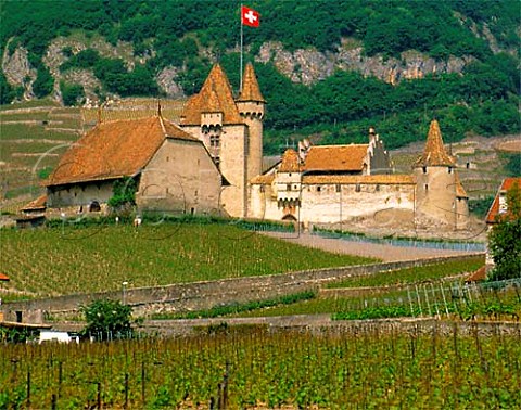 Vineyards around Aigle Chteau Vaud Switzerland    Chablais