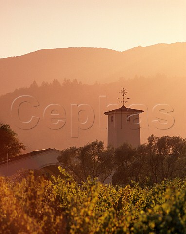 Sunset over Robert Mondavi winery Oakville Napa Valley California