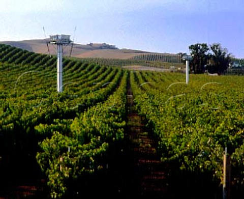 Vineyard of Clos du Val with two antifrost wind   machines Carneros region Napa Co California