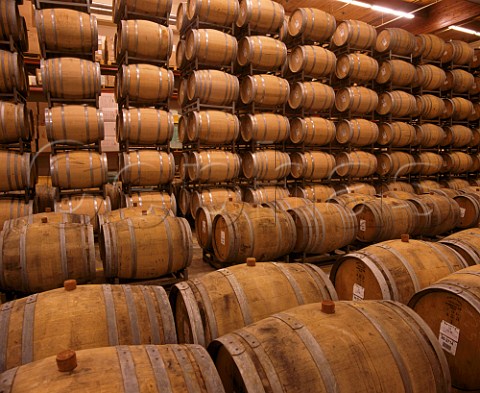 Barrel cellar of Robert Mondavi Winery  Oakville Napa Valley California