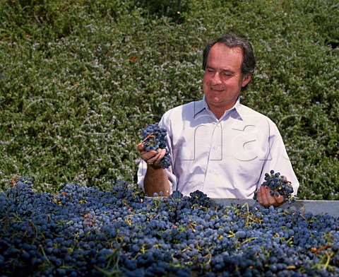 Warren Winiarski with Cabernet Sauvignon grapes circa 1988 Stags Leap Wine Cellars Napa Valley California