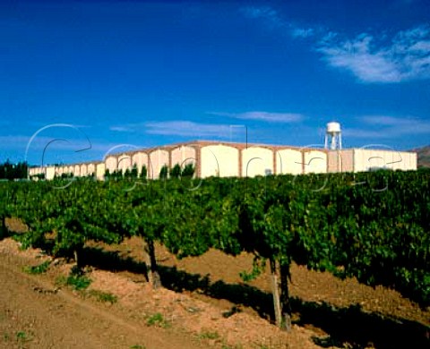 Paul Massons Pinnacles Winery Soledad Monterey   Co California