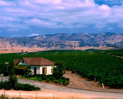 Paragon Vineyards near San Luis Obispo California  Edna Valley